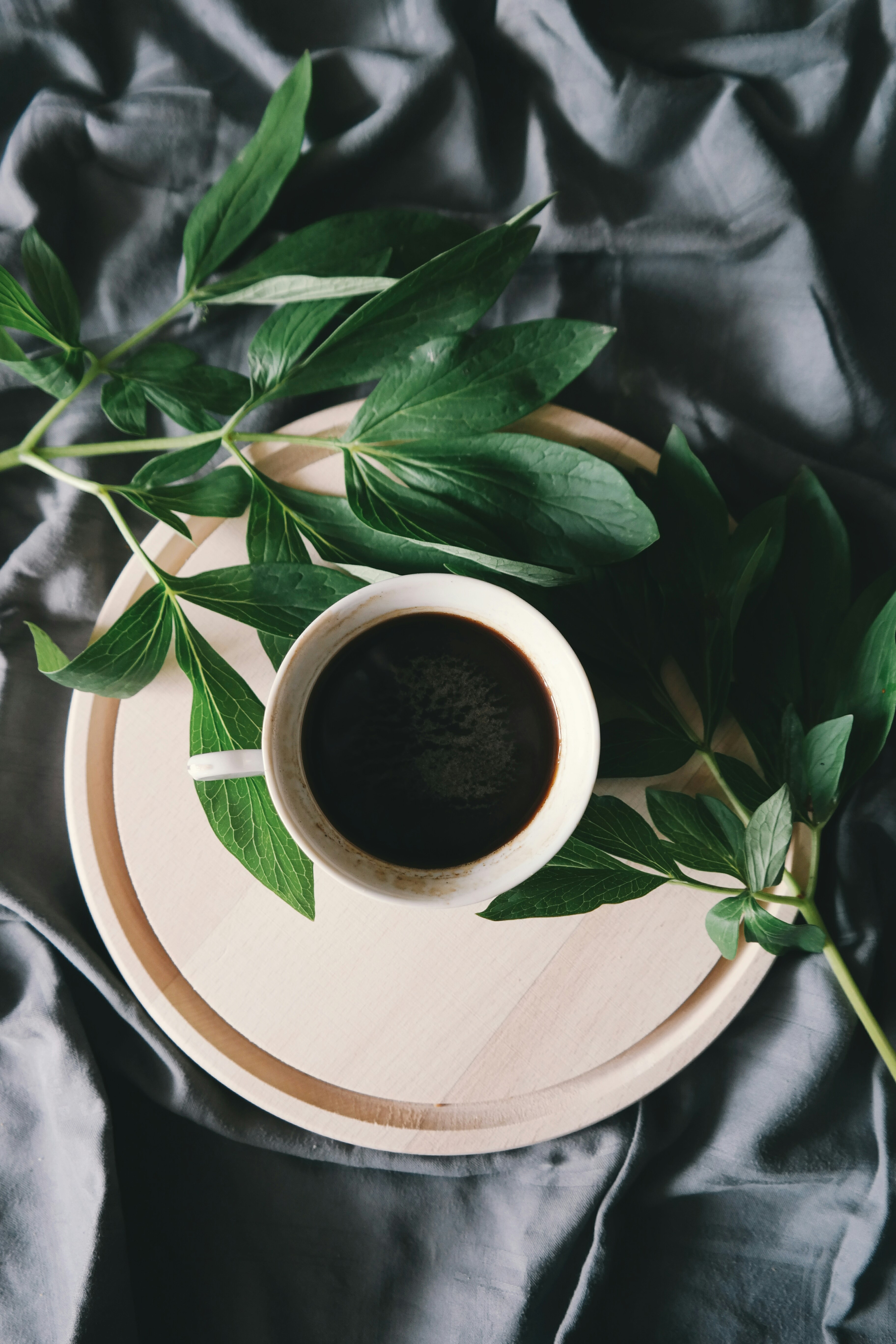 Coffee beans raw